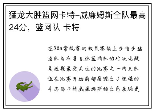 猛龙大胜篮网卡特-威廉姆斯全队最高24分，篮网队 卡特